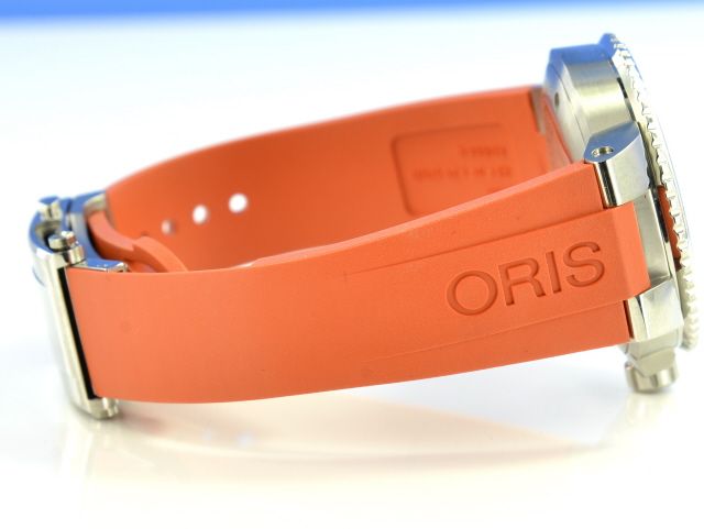 Oris Staghorn Restoration Limited Edition 01