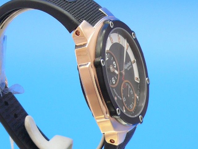 Alpina Avalanche Regulator