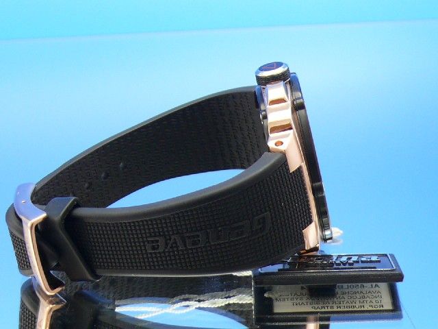 Alpina Avalanche Regulator