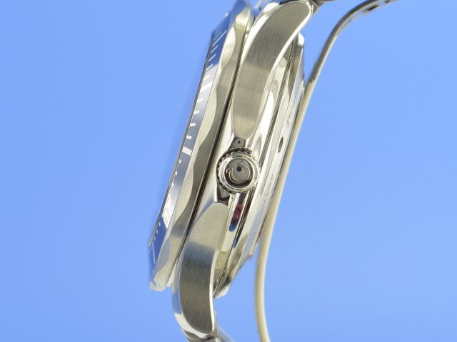 Omega Seamaster Diver 300 GMT Co-Axial