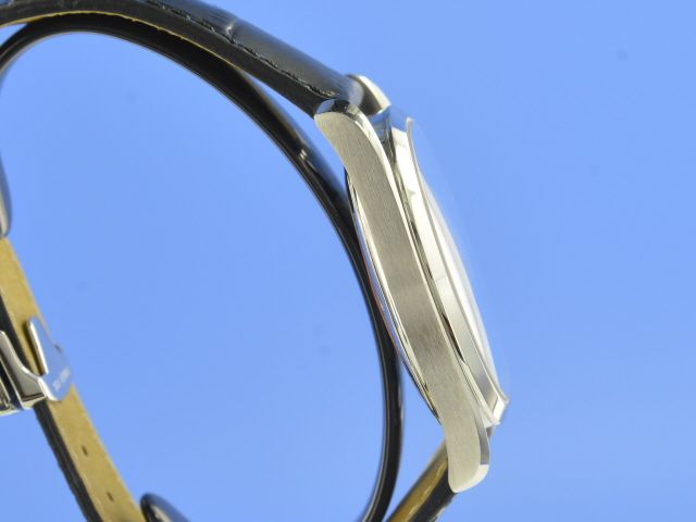 Omega Seamaster Railamster Co-Axial Chronometer