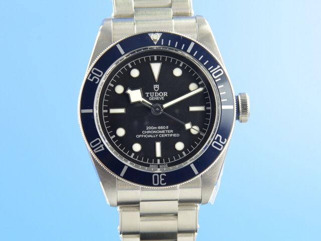 Tudor Black Bay 79230B