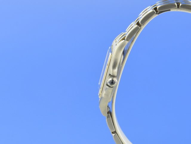 Cartier-Panthere-Lady