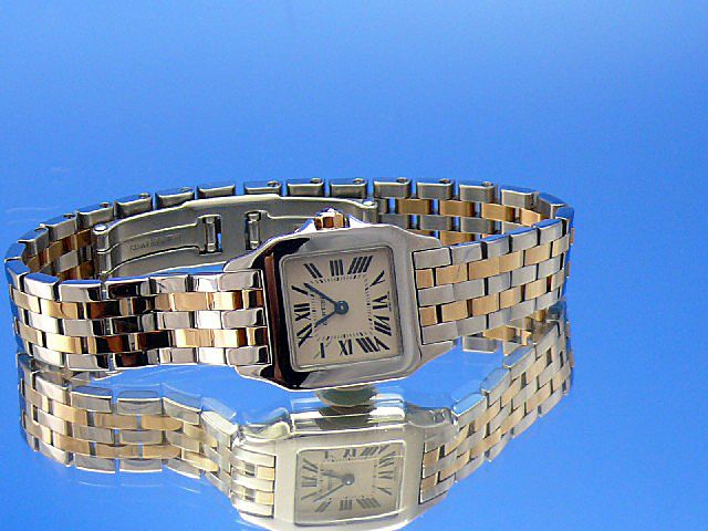 Cartier Santos Demoiselle PM