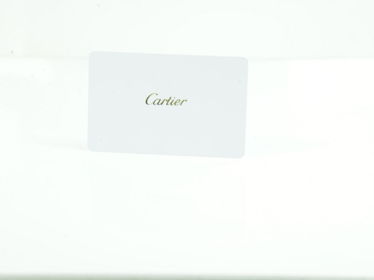 Cartier Santos de Cartier Aftermarket Diamond WSSA0018