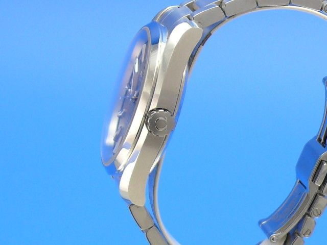 Omega Seamaster Aqua Terra Co-Axial Chronometer