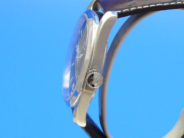 Omega SeamasterAqua-Terra Railmaster Co-Axial-Chronometer