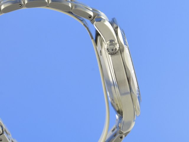 Omega Seamaster Diver 300M Co-Axial