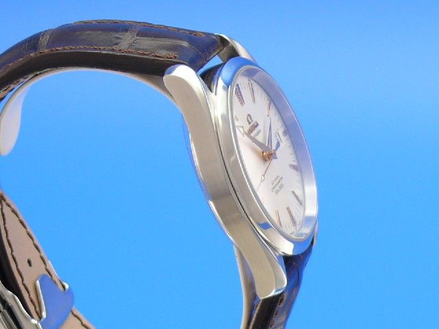 Omega Seamaster Aqua Terra Co-Axial 39 mm