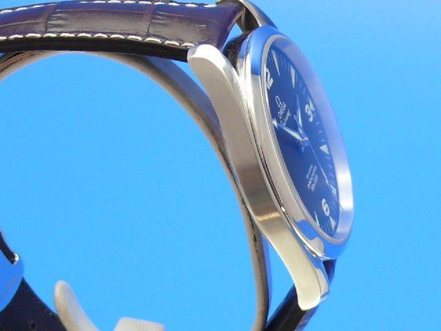 Omega SeamasterAqua-Terra Railmaster Co-Axial-Chronometer