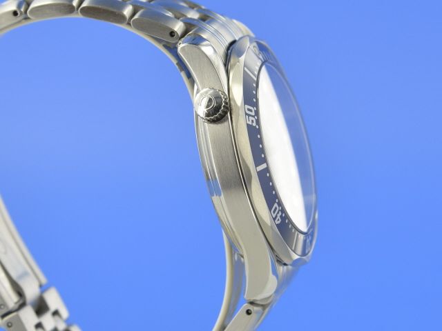 Omega Seamaster Diver 300M Co-Axial