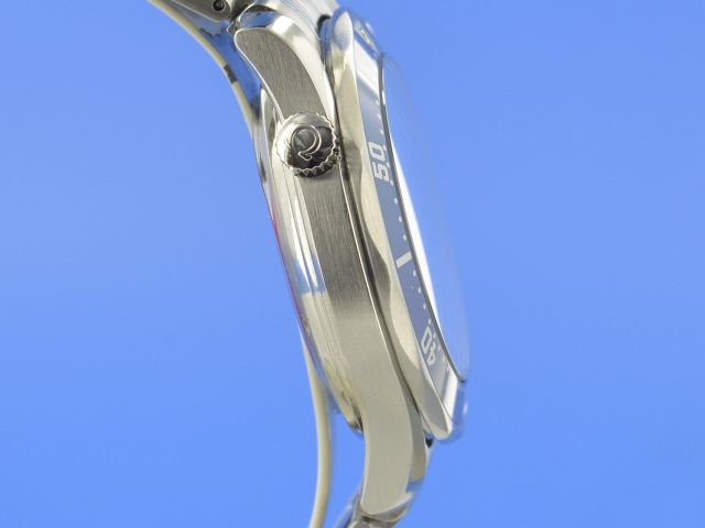 Omega Seamaster Diver 300M Co-Axial