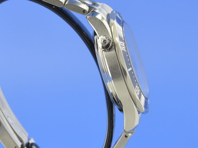 Omega Seamaster Diver 300M Co-Axial