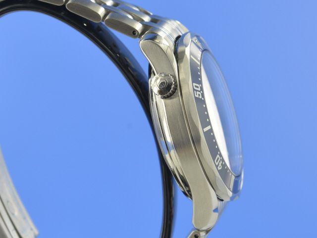 Omega Seamaster Diver 300M GMT Co-Axial