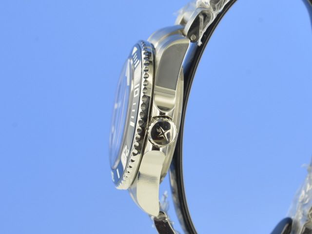 Davosa Ternos Diver Professional Keramik