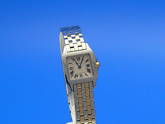 Cartier Santos Demoiselle PM