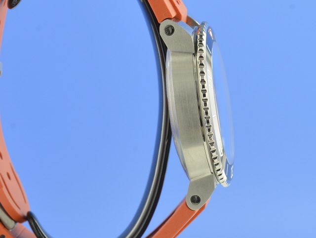 Oris Staghorn Restoration Limited Edition 01