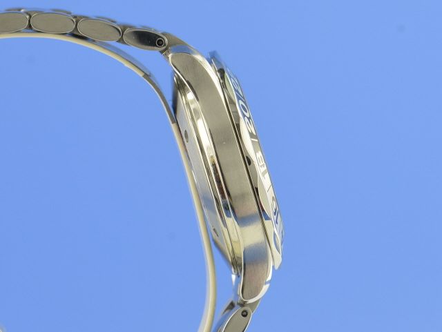 Omega Seamaster Diver 300M GMT