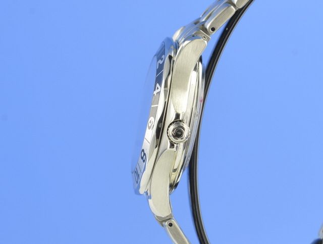 Omega Seamaster Diver 300M GMT