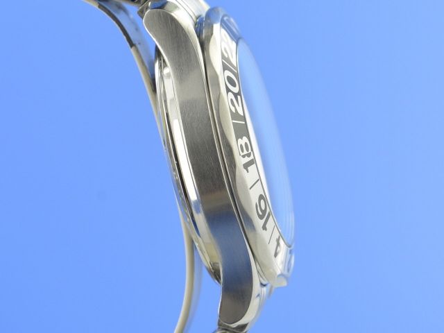 Omega Seamaster Diver 300M GMT