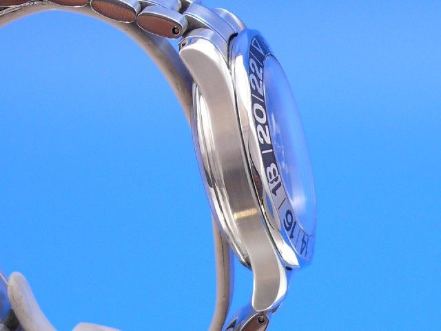 Omega Seamaster Diver 300M GMT