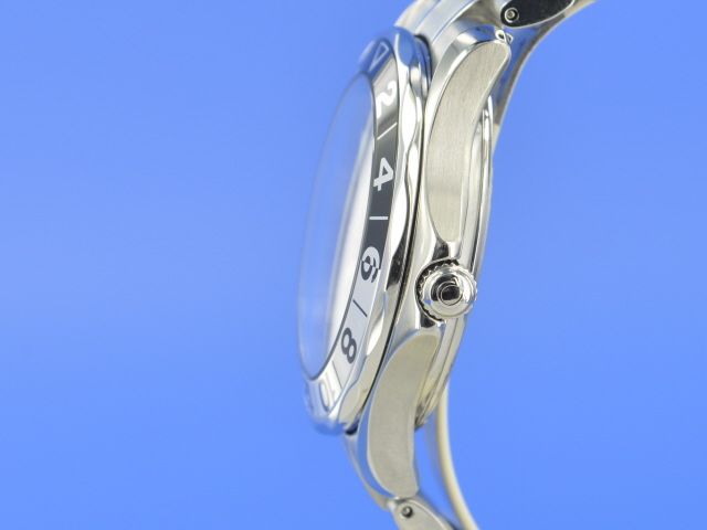 Omega Seamaster Diver 300M GMT