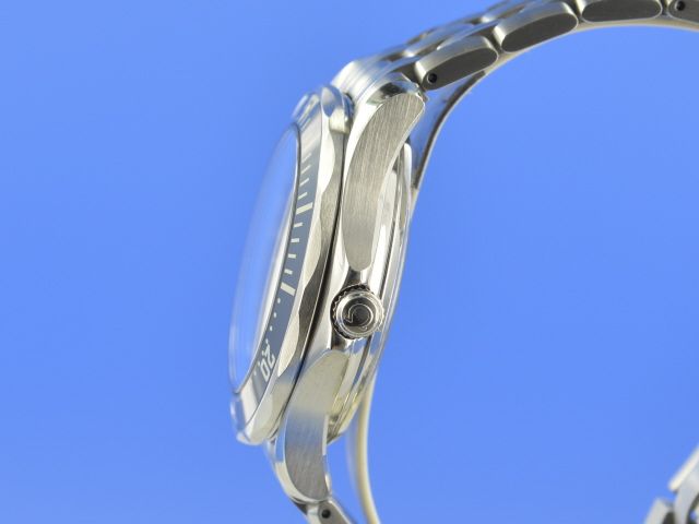 Omega Seamaster Diver 300M Co-Axial GMT