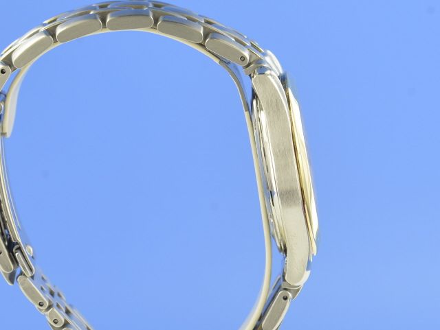 Omega Seamaster 120 Stahl/Gold