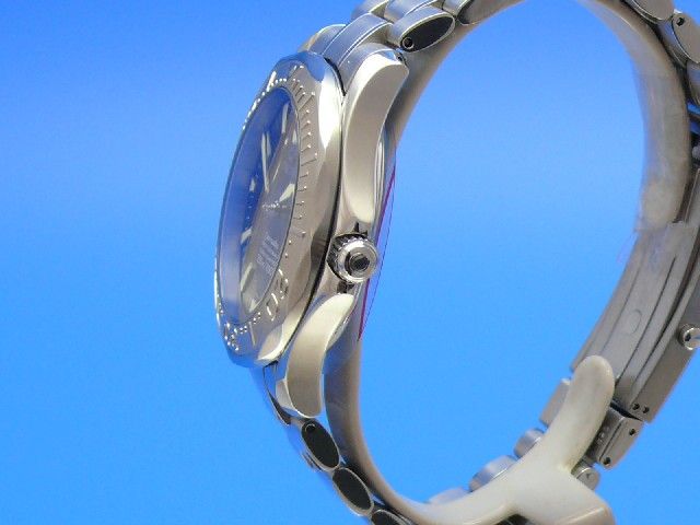 Omega Seamaster Professional 300M 18K Weigold Lnette