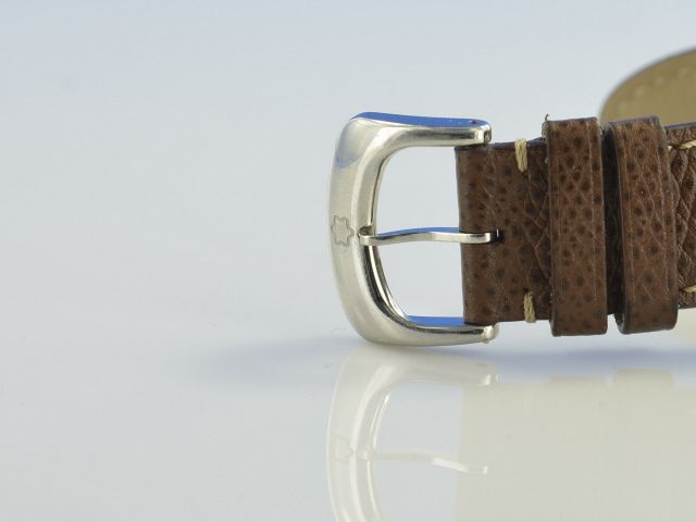 Montblanc Star Meisterstck