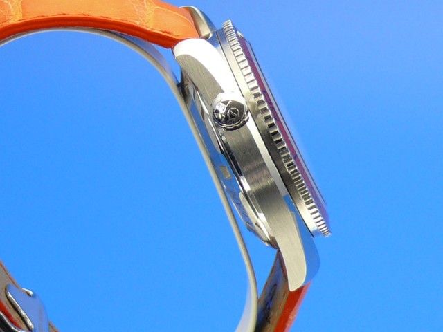 Omega Seamaster Planet Ocean