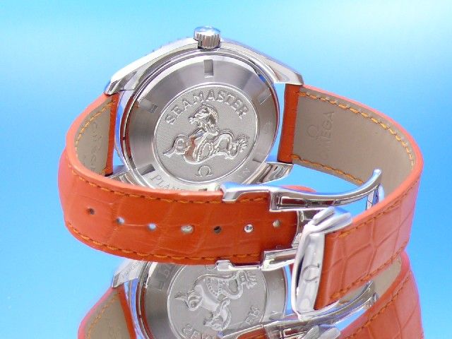 Omega Seamaster Planet Ocean 45,5 mm