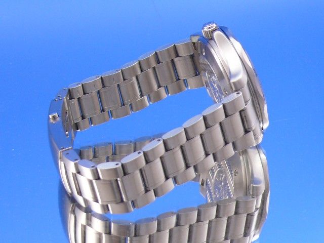 Omega Seamaster 300M Diver GMT