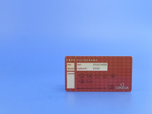 Omega Seamaster Aqua Terra 150M Big-Size Chronometer