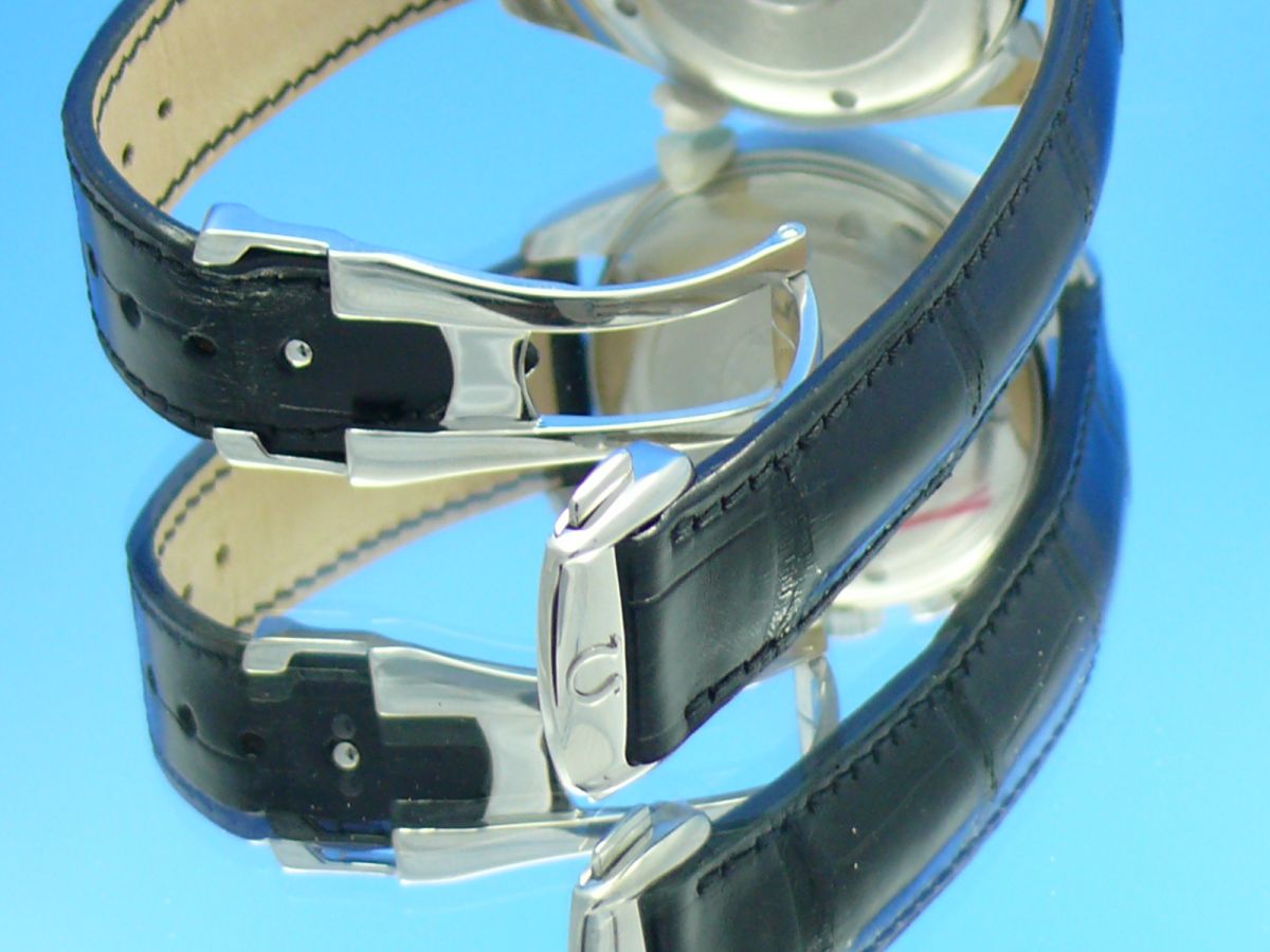 Omega Seamaster Aqua Terra Chronograph