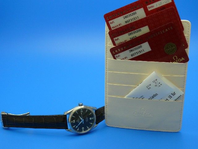 Omega Seamaster Aqua Terra Co-Axial Railmaster