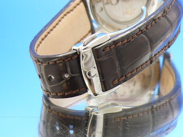 Omega Seamaster Aqua Terra Co-Axial Railmaster