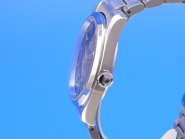 Omega Seamaster Aqua-Terra Co-Axial