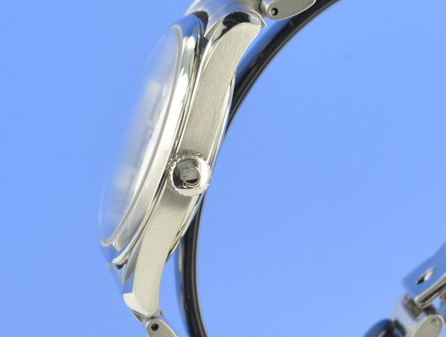 Omega Seamaster Aqua Terra Quarz