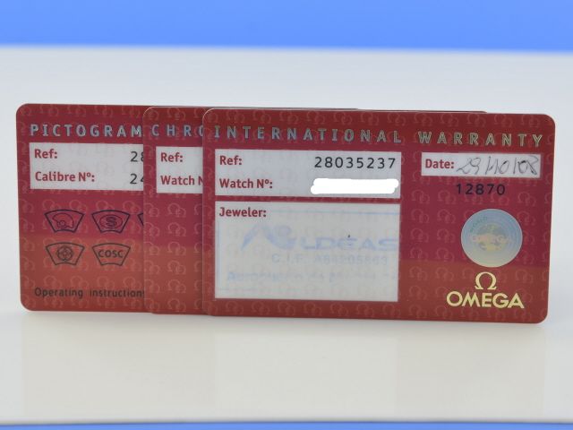 Omega Seamaster Aqua Terra Railmaster