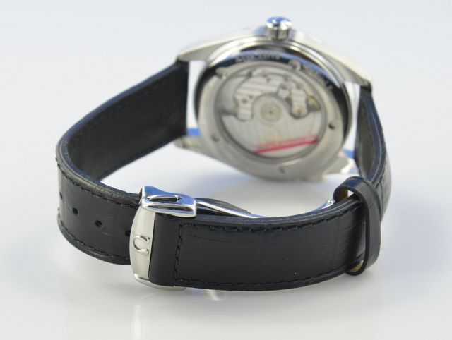 Omega Seamaster Aqua Terra Railmaster