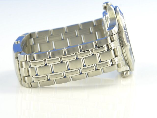 Omega Seamaster Diver 300 GMT Co-Axial