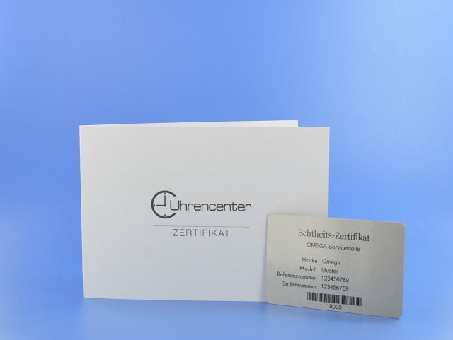 Omega Seamaster Diver 300M Automatik