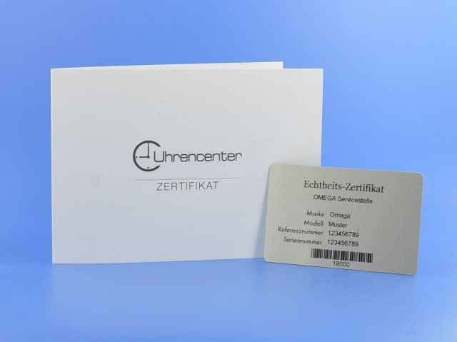 Omega Seamaster Diver 300M Automatik