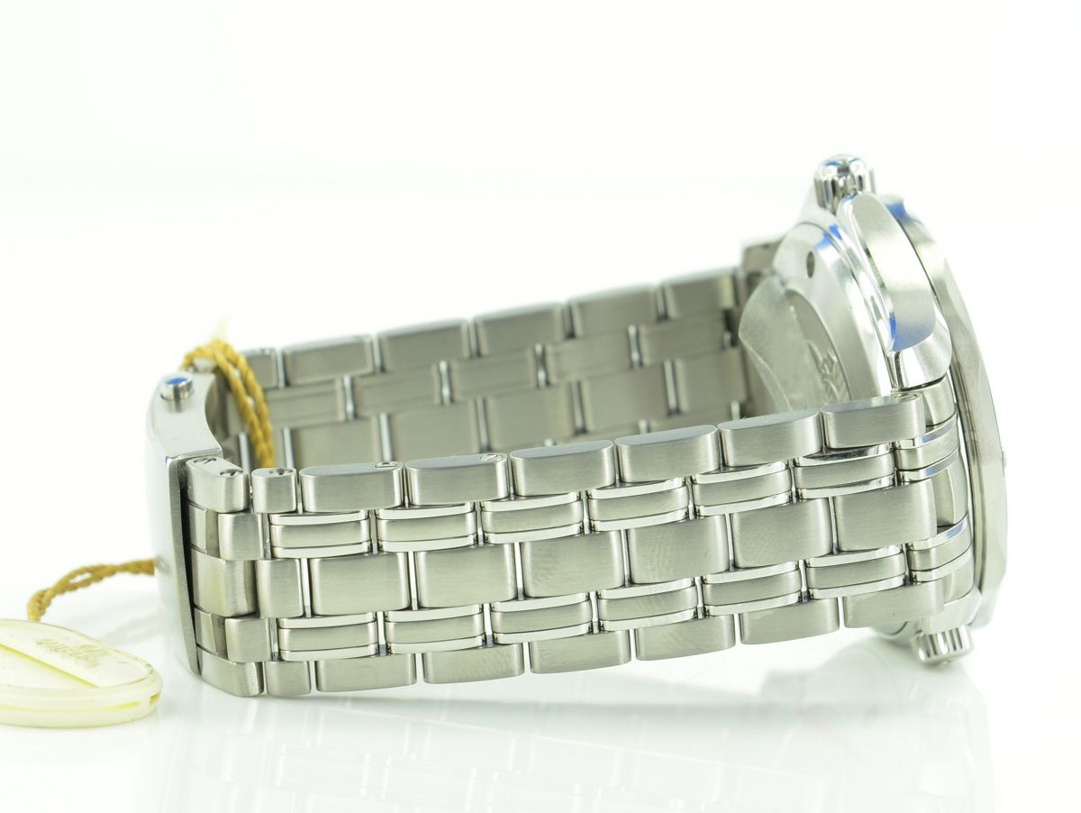 Omega Seamaster Diver 300M Co-Axial Keramik