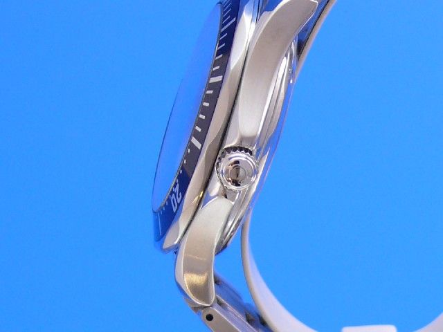 Omega Seamaster Diver 300M Co-Axial