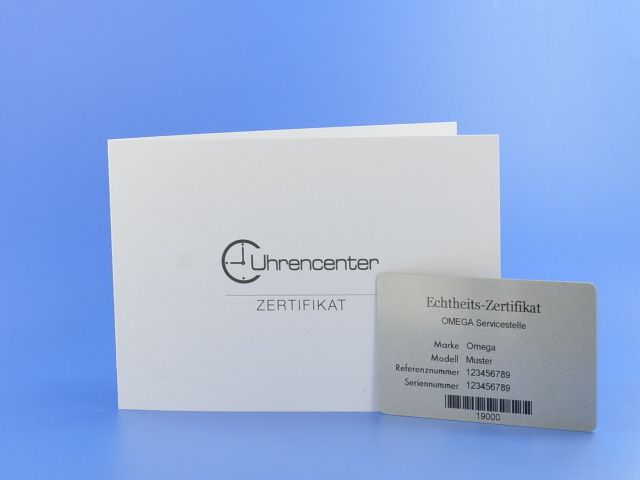 Omega Seamaster Diver 300M Co-Axial