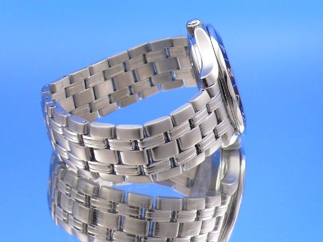 Omega Seamaster Diver 300M GMT