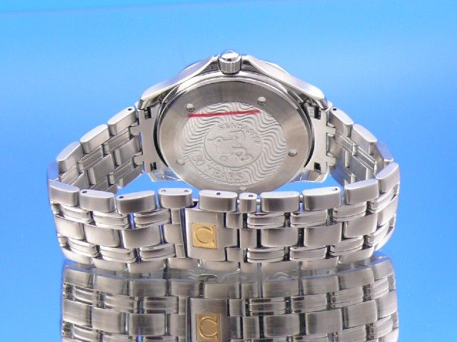 Omega Seamaster Diver 300M GMT