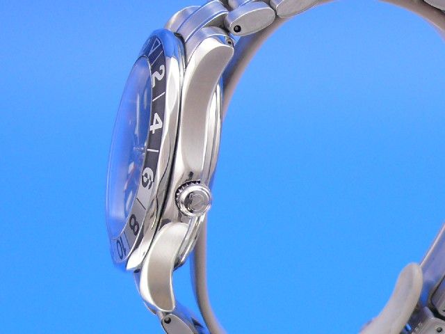 Omega Seamaster Diver 300M GMT